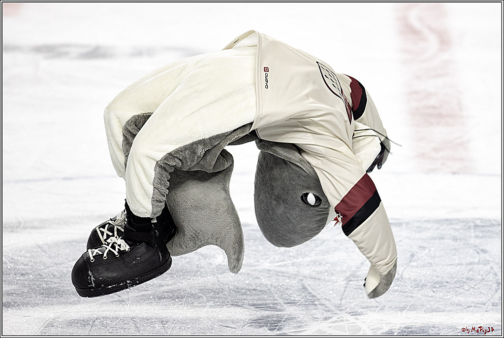 PENNY DEL;  Koelner Haie - EHC Red Bul Muenchenl; Koeln, 18.03.2022